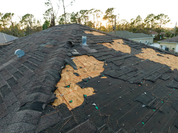 Asphalt Shingles Roofing in Enfield, NC