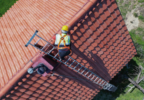 Best Roofing for New Construction  in Enfield, NC